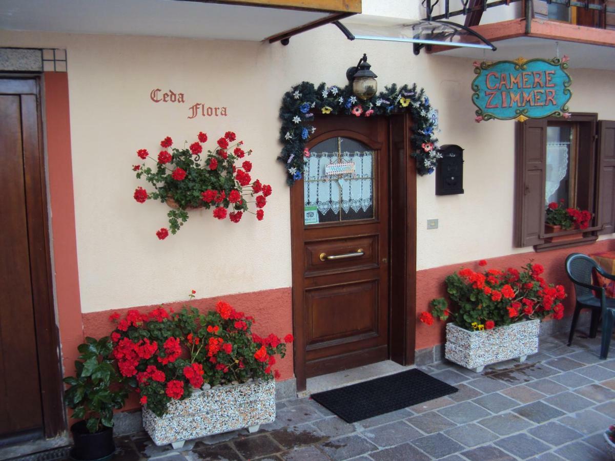 La Casa Di Beppe Appartamento E Camere Danta Exterior photo